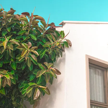 Feri Surf Club Datca