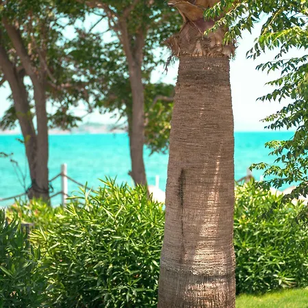 Feri Surf Club Datca