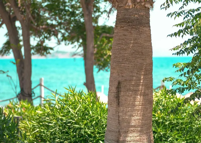 Feri Surf Club Datca