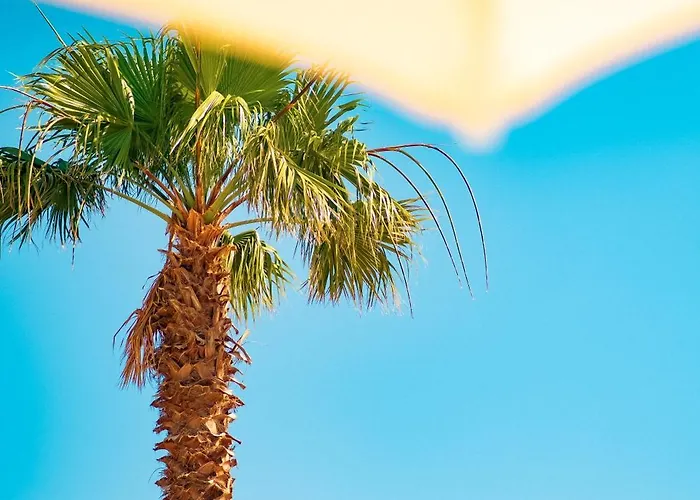 Hotel Feri Surf Club Datca