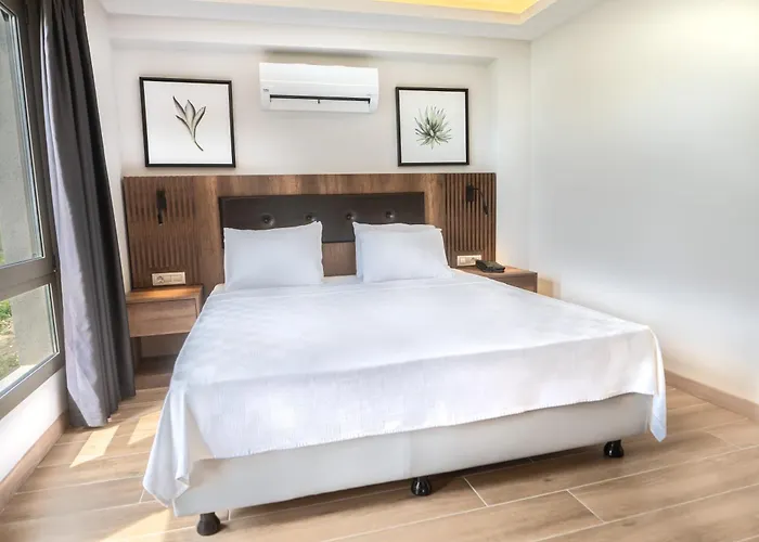 Hotel Feri Surf Club *